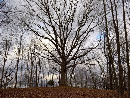 WP-20161229-15-24-13-Pro