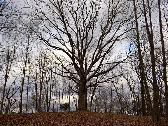 WP-20161229-15-24-13-Pro