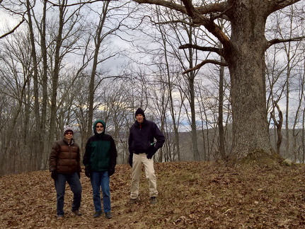 WP-20161229-15-25-17-Pro