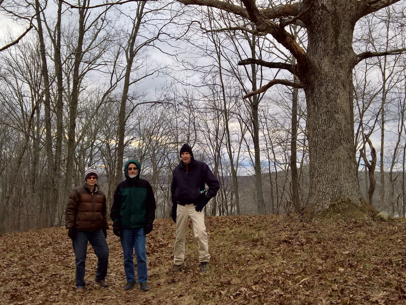 WP-20161229-15-25-17-Pro