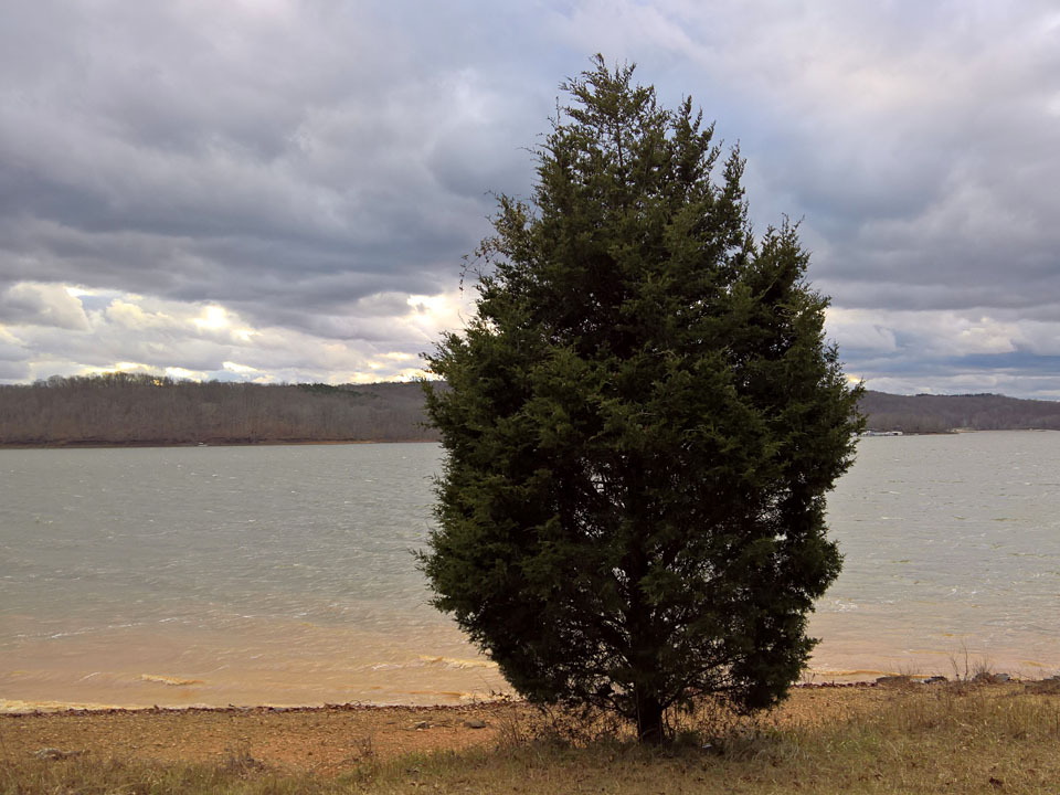 WP-20161229-15-46-35-Raw