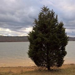 WP-20161229-15-46-35-Raw