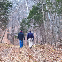 WP-20161229-16-05-52-Raw