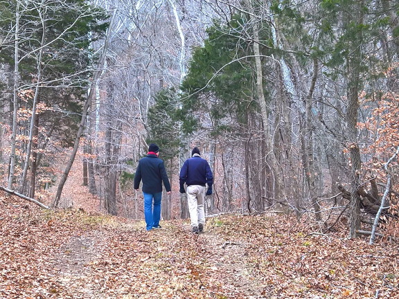 WP-20161229-16-05-52-Raw