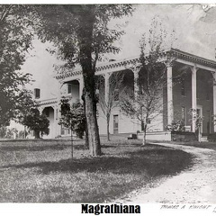 00-Magrathiana-paint