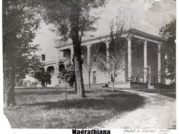 00-Magrathiana-paint