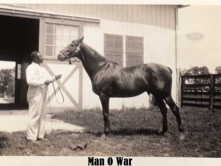 06-Man-O-War-paint