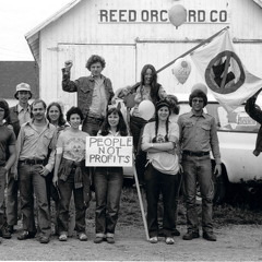 310-P5-MarbleHill-Milton Barth