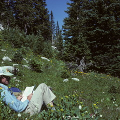 464-MiltonCommancheBreak78