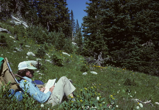 464-MiltonCommancheBreak78