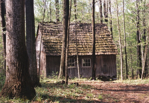 800-The-Cabin-with-Mossy-Shingles