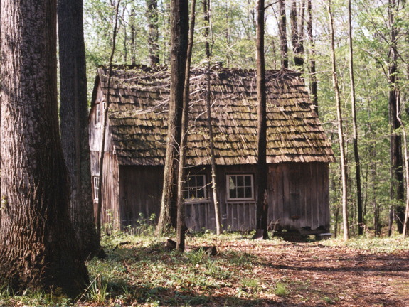 800-The-Cabin-with-Mossy-Shingles