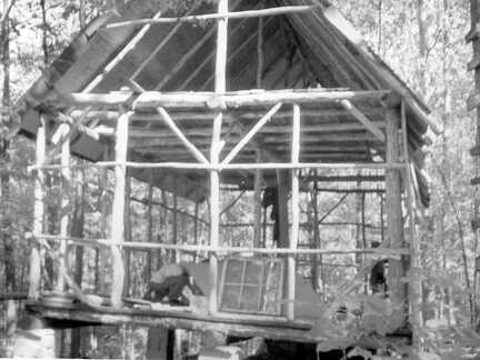 804-Cabin-Fisk-Forest-1974336