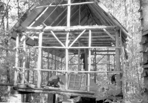 804-Cabin-Fisk-Forest-1974336