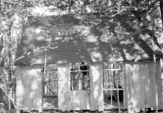 805-Cabin-Fisk-Forest-1974337