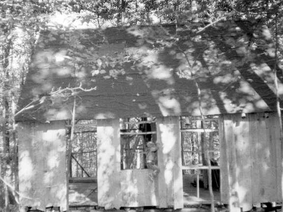 805-Cabin-Fisk-Forest-1974337