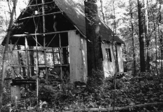 806-Cabin-FiskForest-1974320