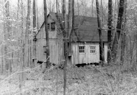 807-Cabin-FiskForest-all-done-1974356