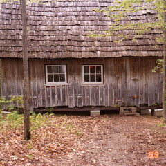 808-Cabin-MeFisk-Forest-1988806