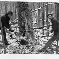 811-Cabin-Shingle-Tree-Barth-Milton-