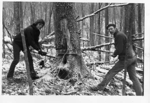 811-Cabin-Shingle-Tree-Barth-Milton-