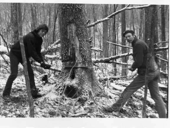 811-Cabin-Shingle-Tree-Barth-Milton-