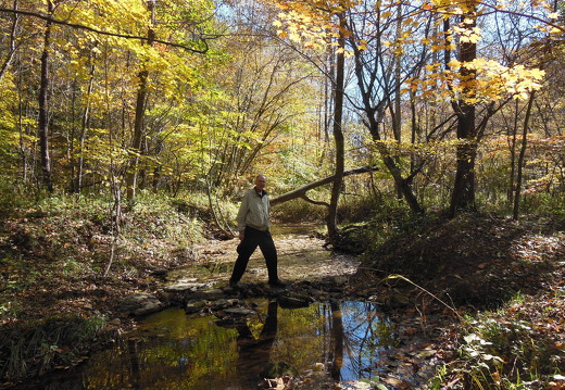 832-Milton-CrossingTheCreek-2013