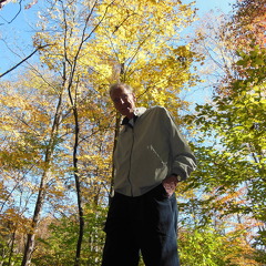 839-Milton Fall Trees-2013DSCN2268