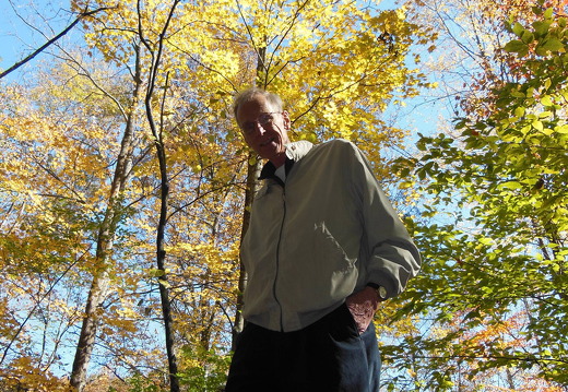 839-Milton Fall Trees-2013DSCN2268