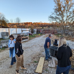 PXL 20221028 222118651