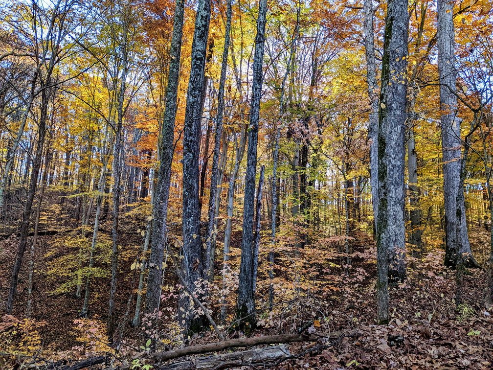 PXL 20221029 143510933-3