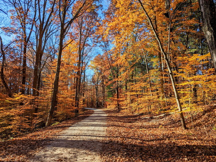 PXL 20221029 143720102-2