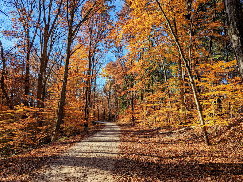 PXL 20221029 143720102-2