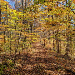 PXL 20221029 144318312-2