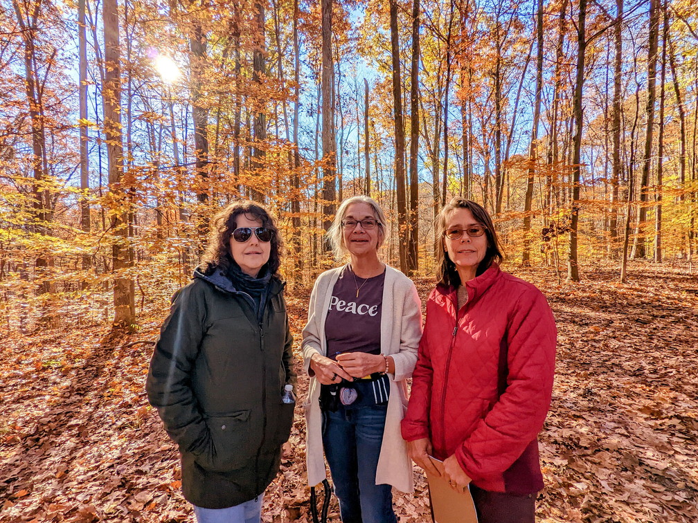 PXL 20221029 144827173-2