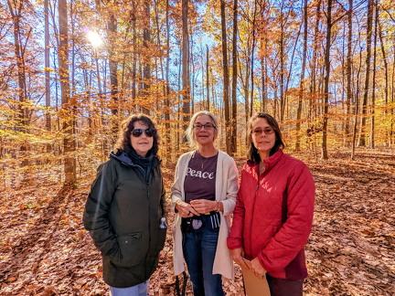 PXL 20221029 144827173-2