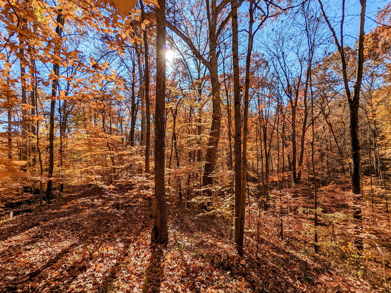 PXL 20221029 150543201-2