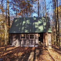 PXL 20221029 151639708-2