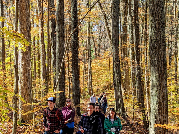 PXL 20221029 151958523-2