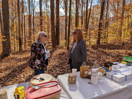 PXL 20221029 172037496-2