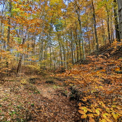 PXL 20221029 185720441-2