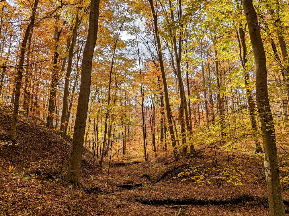 PXL 20221029 190100896-2