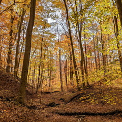 PXL 20221029 190100896-2