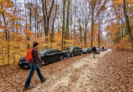 PXL 20221029 205614062-2