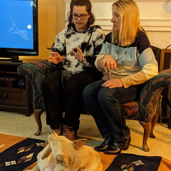 PXL 20221127 225737801