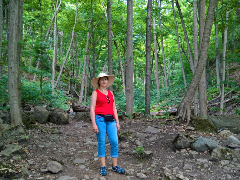 Niagara-Falls-2018-hike