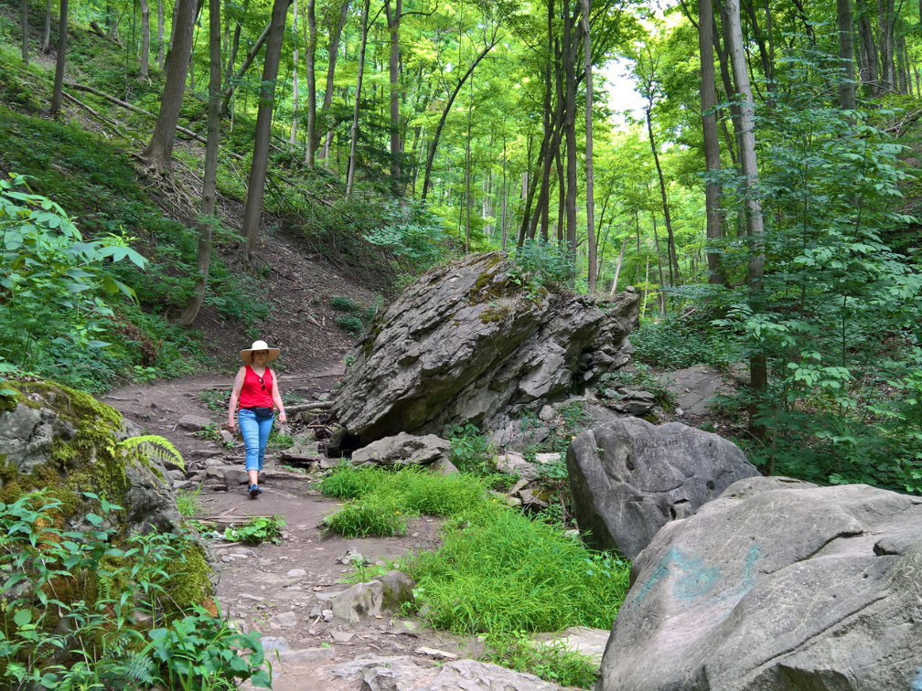 WP-20180728-12-17-30-Pro