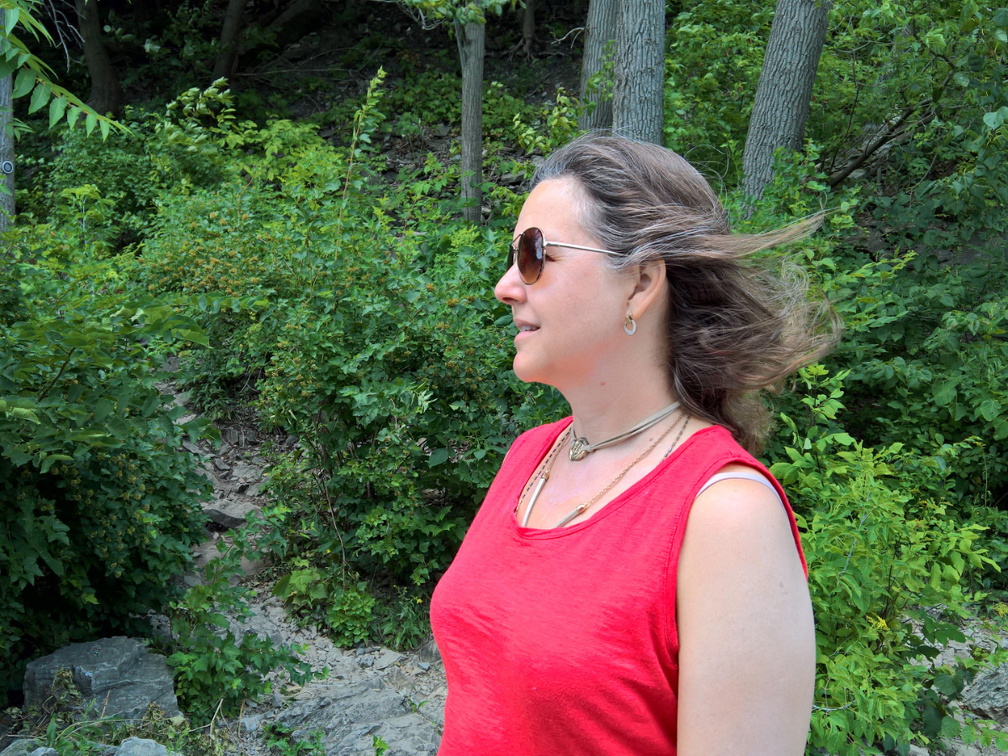 WP-20180728-13-45-11-Pro