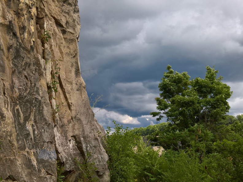 WP-20180728-14-24-23-Pro