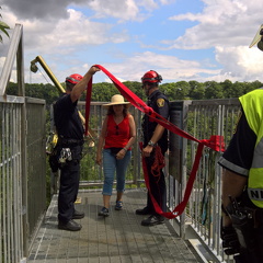 WP-20180728-14-34-30-Pro